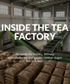 Advanced Consultation + Factory Visit